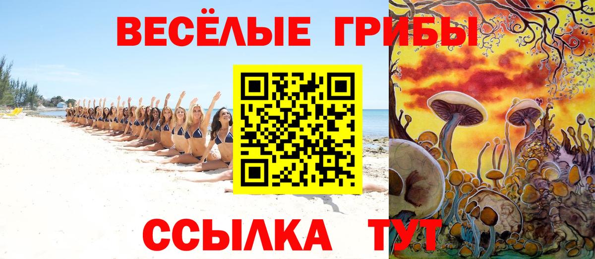 Псилоцибиновые грибы Psilocybine cubensis Сатка