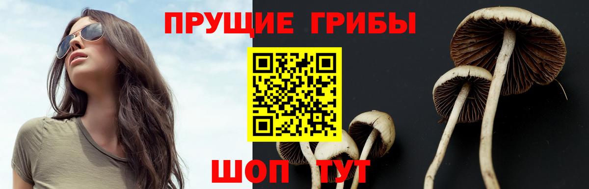 Сатка  Галлюциногенные грибы Cubensis  Вход с VPN 